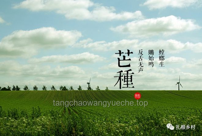 今日芒种如何科学农耕，应对气候变化